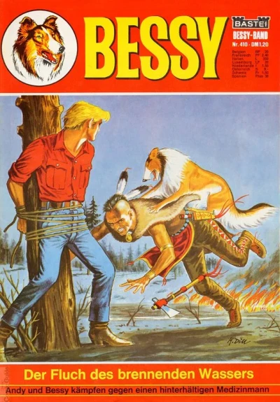 Cover of Der Fluch des Brennenden Wassers