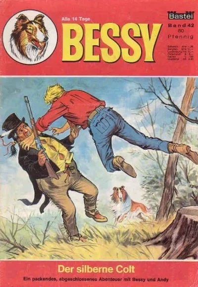 Cover of Die Silberne Colt