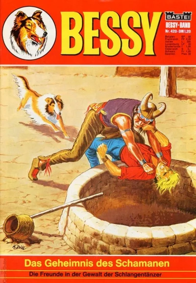 Cover of Das Geheimnis des Schamanen