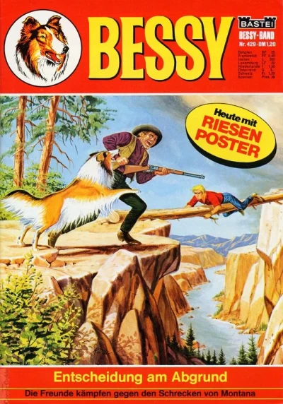 Cover of Entscheidung am Abgrund