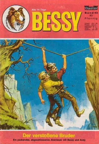 Cover of Der Verstossene Bruder