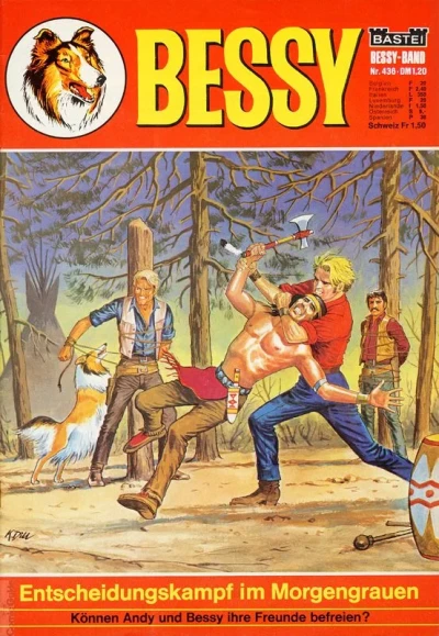 Cover of Entscheidungskampf im Morgengrauen