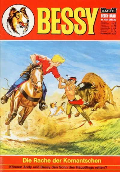 Cover of Die Rache der Komantschen