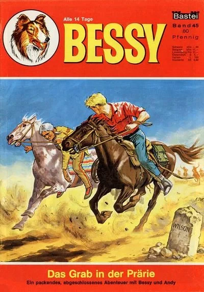 Cover of Das Grab in der Prarie