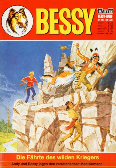 Cover of Die Fahrte des Wilden Kriegers