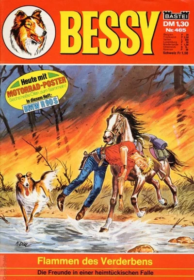 Cover of Flammen des Verderbens