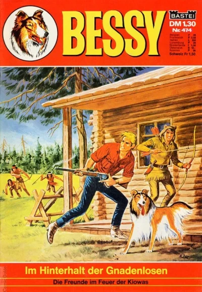 Cover of Im Hinterhalt der Gnadenlosen