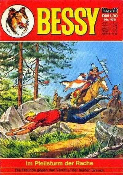 Cover of Im Pfeilsturm der Rache