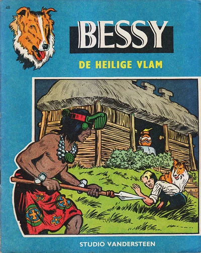 Cover of De heilige vlam