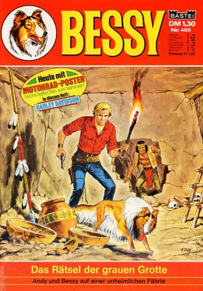 Cover of Das Ratsel der Grauen Grotte