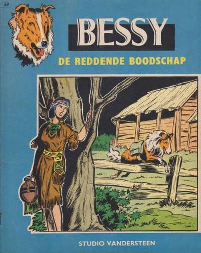 Cover of De reddende boodschap