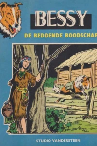 De reddende boodschap