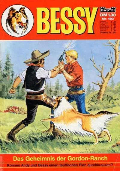 Cover of Das Geheimnis der Gordon-Ranch
