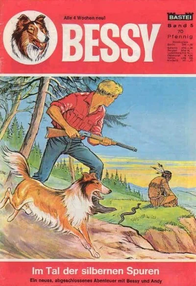 Cover of Im Tal der Silbernen Spuren