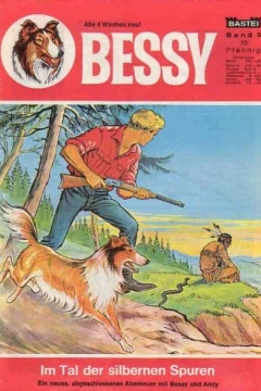 Im Tal der Silbernen Spuren