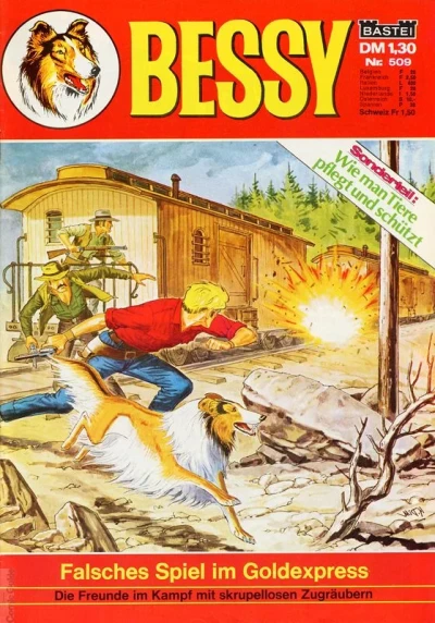 Cover of Falsches Spiel im Goldexpress