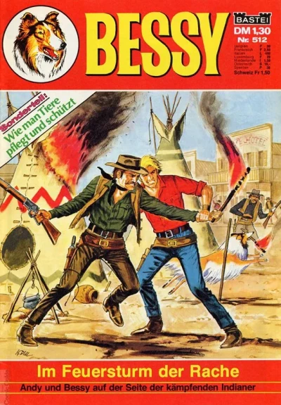 Cover of Im Feuersturm der Rache