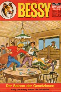 Der Saloon der Gesetzlosen
