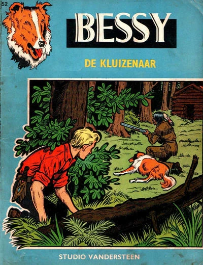Cover of De kluizenaar