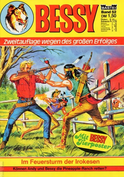 Cover of Im Feuersturm der Irokesen