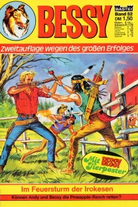 Im Feuersturm der Irokesen