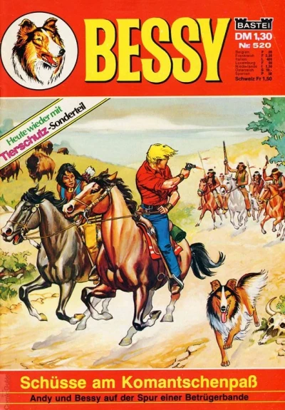 Cover of Schusse am Komantschenpass
