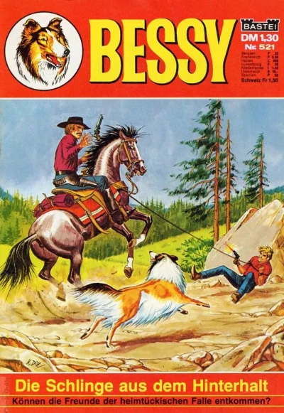 Cover of Die Schlinge aus dem Hinterhalt
