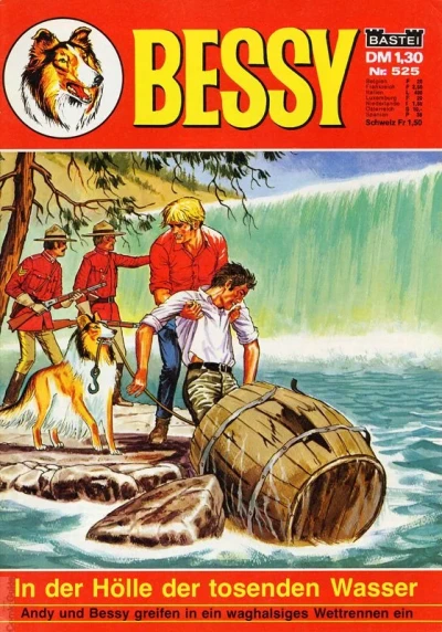 Cover of In der Holle der Tosenden Wasser