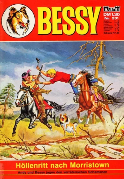Cover of Hollenritt nach Morristown