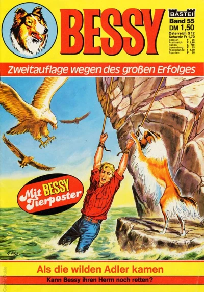Cover of Als die wilden Adler kamen