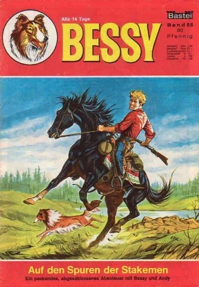Cover of Auf den Spuren der Stakemen