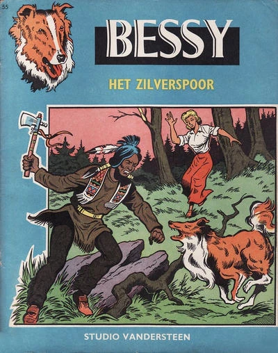 Cover of Het Zilverspoor