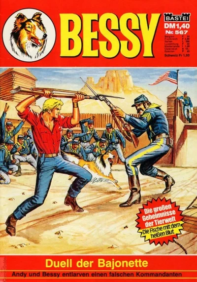 Cover of Duell der Bajonette