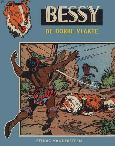 Cover of De dorre vlakte