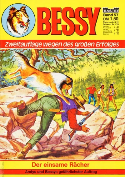 Cover of Der einsame Racher