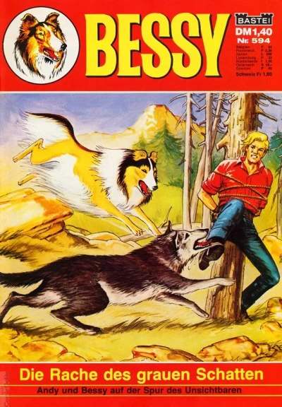 Cover of Die Rache des grauen Schatten