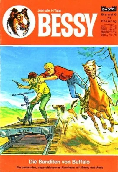 Cover of Die Banditen von Buffalo
