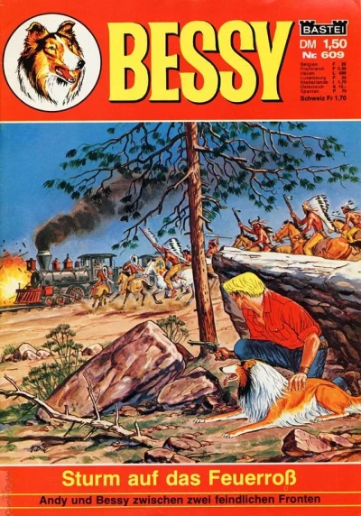 Cover of Sturm auf das Feuerross