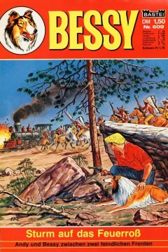 Sturm auf das Feuerross