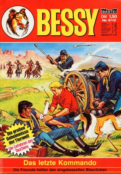 Cover of Das letzte Kommando