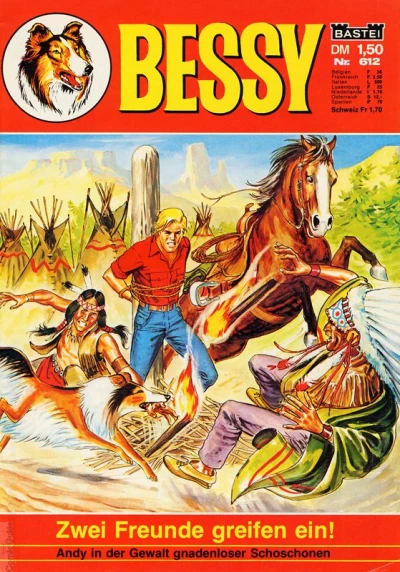 Cover of Zwei Freunde greifen ein!