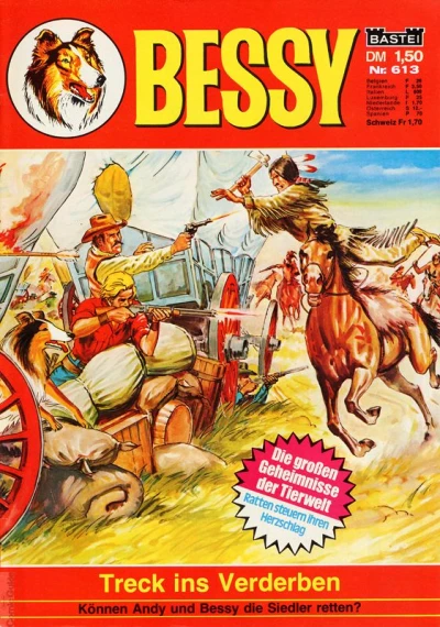 Cover of Treck ins Verderben