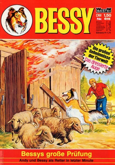 Cover of Bessys grosse Prufung