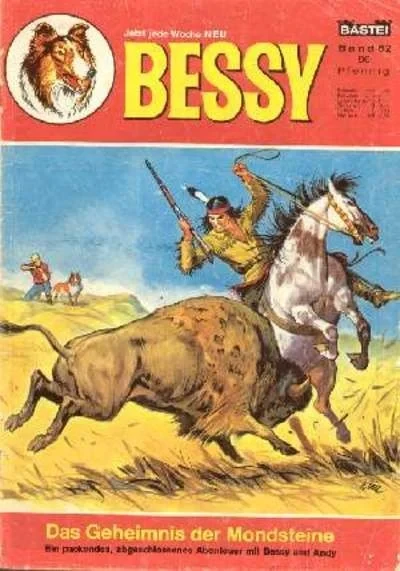 Cover of Das Geheimnis der Mondsteine