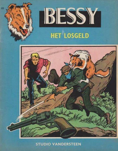 Cover of Het losgeld