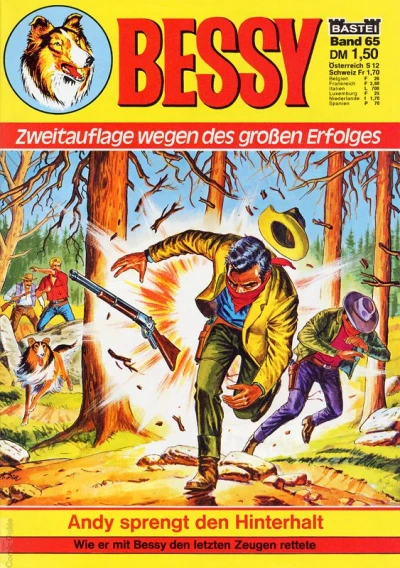 Cover of Andy sprengt den Hinterhalt