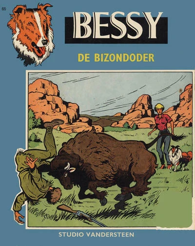 Cover of De bizondoder