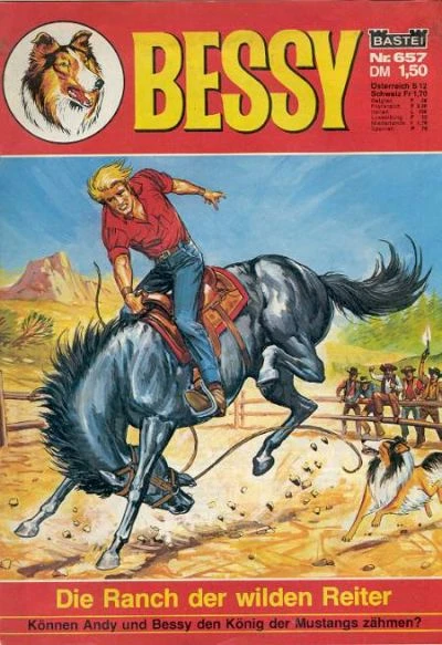 Cover of Die Ranch der wilden Reiter