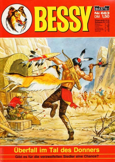 Cover of Uberfall im Tal des Donners