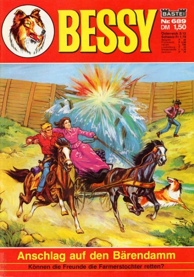 Cover of Anschlag auf den Barendamm